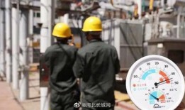 石家庄新学生爆料新闻,校园新鲜事速递