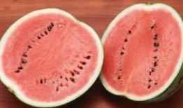 五一免费吃瓜观看