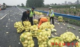 恩平网红吃瓜群众视频,揭秘当地热门事件背后的真相